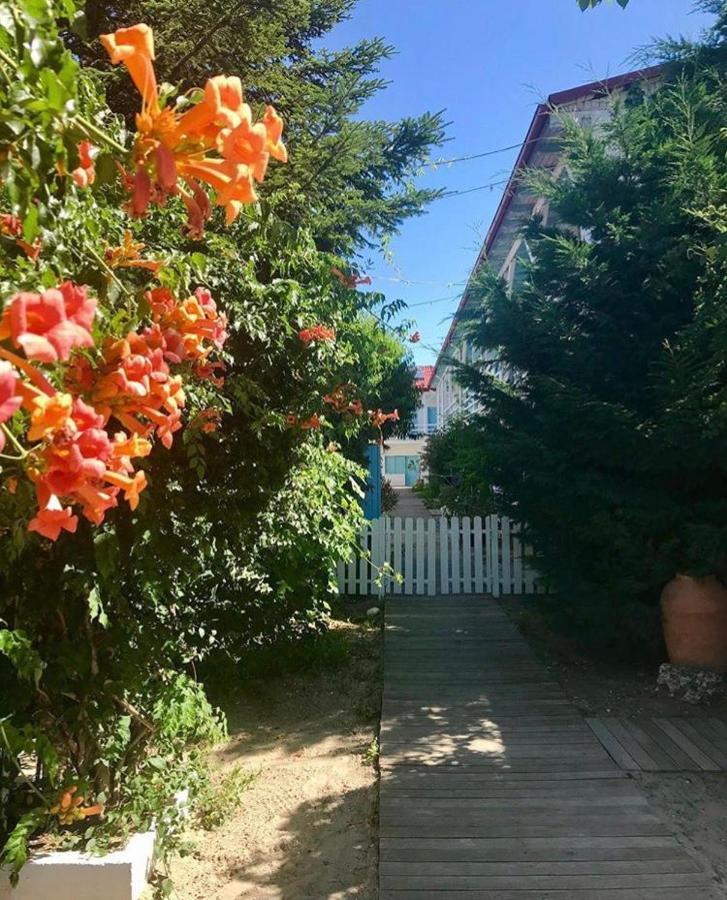 Casa Stavros Ξενοδοχείο Două Mai Εξωτερικό φωτογραφία