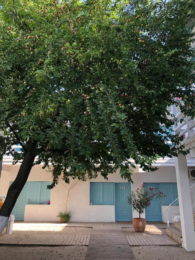 Casa Stavros Ξενοδοχείο Două Mai Εξωτερικό φωτογραφία